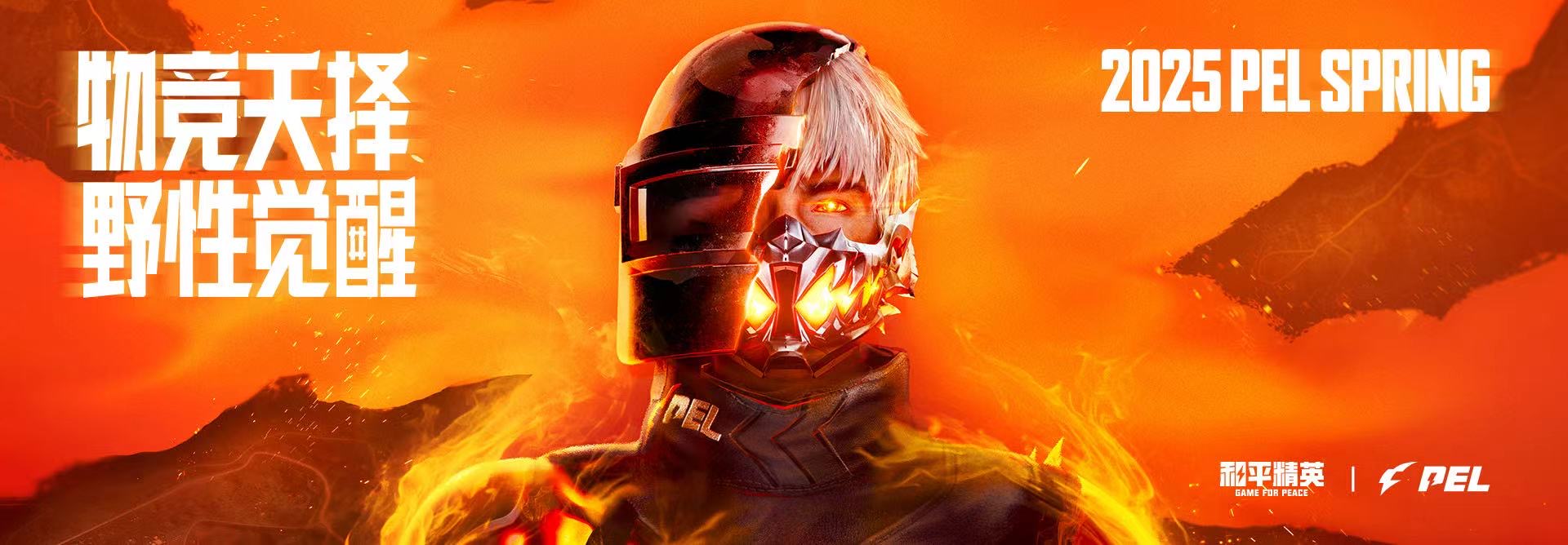 和平精英辅助【AI内核】方框透视 骨骼显示 人物射线 手持武器 触摸自瞄